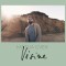 Matija Cvek – Visine